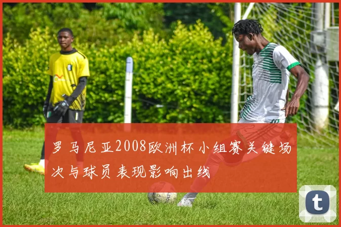 罗马尼亚2008欧洲杯小组赛关键场次与球员表现影响出线